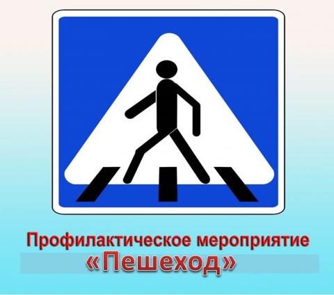 Профилактические мероприятия  «Пешеход, пешеходный переход»          